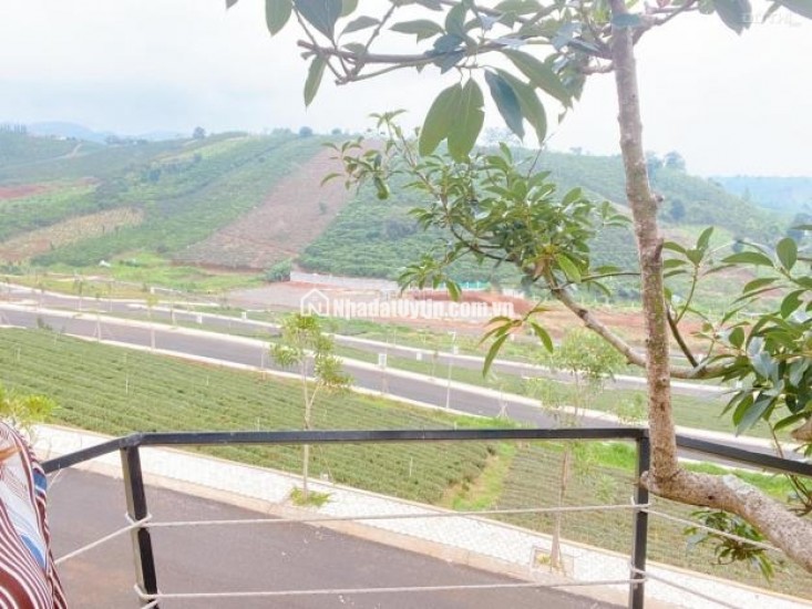 Bán rẻ lô đất thổ cư - cạnh Làng Pháp Bảo Lộc siêu hot